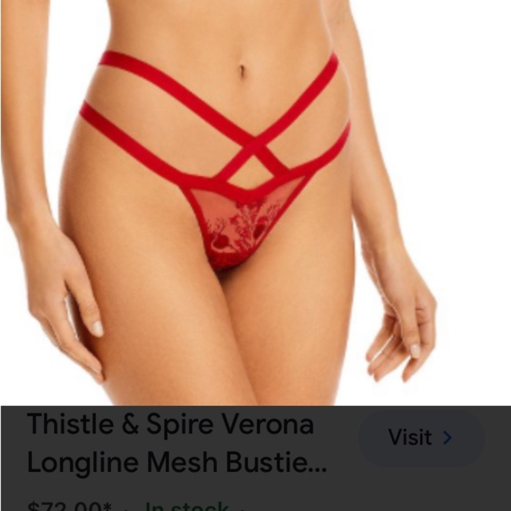 Thistle And Spire Verona Thong Panty Embroidered Mesh Crimson Red XS NWT